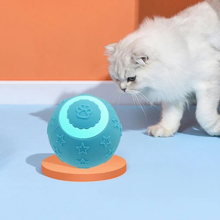 Smart Ball Toy