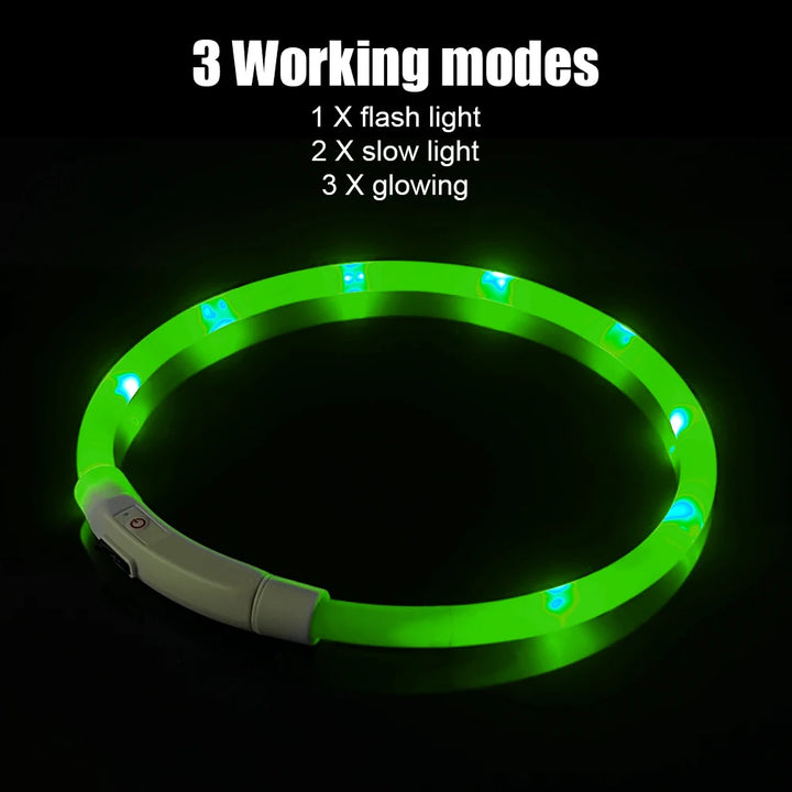 Led Dog Collar