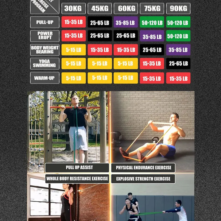 Pull Up Assist Bands