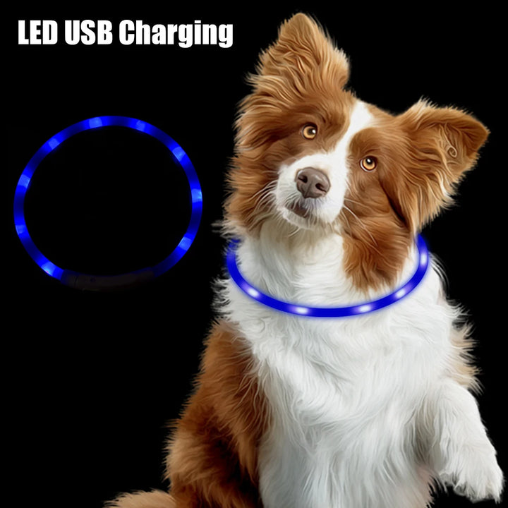 Led Dog Collar