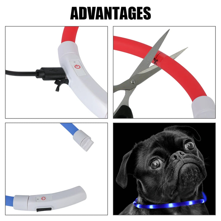 Led Dog Collar