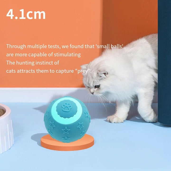 Smart Ball Toy